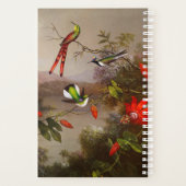 Paysage tropical avec dix colibris (Dos)
