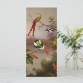 Paysage tropical avec la carte des dix colibris (Debout devant)