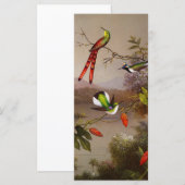 Paysage tropical avec la carte des dix colibris (Devant / Derrière)