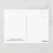 Paysages de Chypre carte postale (Dos)