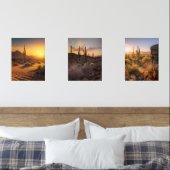 Paysages du désert du coucher du soleil. Arizona (Chambre à coucher)