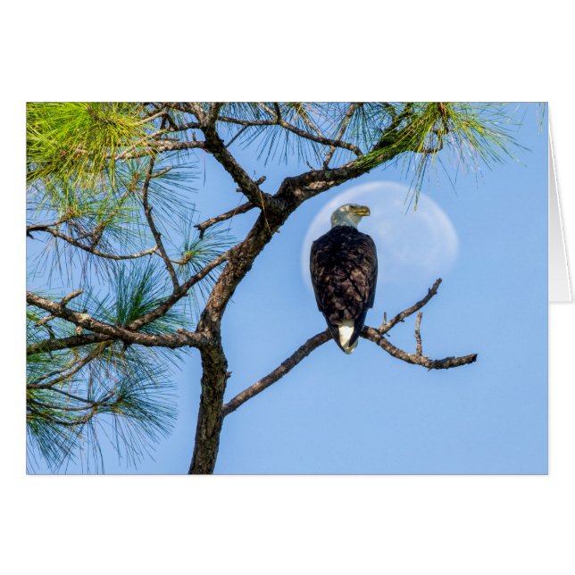 PB en de maan (Voorkant Horizontaal)