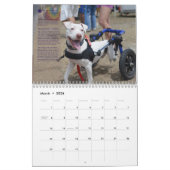 PBRC's Happy Endings Pit Bull Calendar 2014 Kalender (Mar 2026)