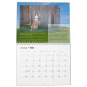 PBRC's Happy Endings Pit Bull Calendar 2014 Kalender (Jan 2026)