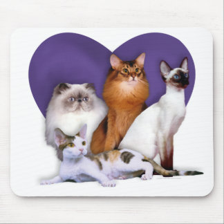 PCBR Mousepad! Muismat