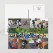 PDXDanes-Briefkaart Briefkaart (Voorkant / Achterkant)