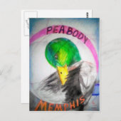Peabody Memphis Briefkaart (Voorkant / Achterkant)