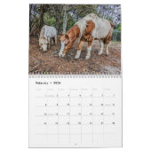 Peace Boerderij Calendar Kalender (Feb 2026)
