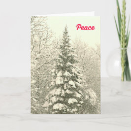 Peace Christmas Kaart met een besneeuwd tafereel