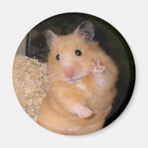 Peace Hamster Meme Magnet Magneet