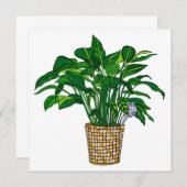 Peace Lilly Hand Drawn House Plant Blank Kaart (Voorkant / Achterkant)