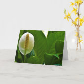 Peace Lily, carte (Fleur jaune)