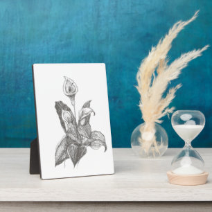 Peace Lily Fine Art Tekening Fotoplaat