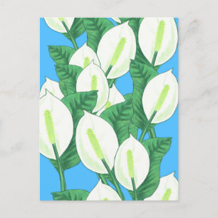 Peace Lily Illustration Briefkaart