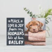 Peace Love & Joy Funny Modern Pet Custom Photo Feestdagenkaart (Staand voorkant)