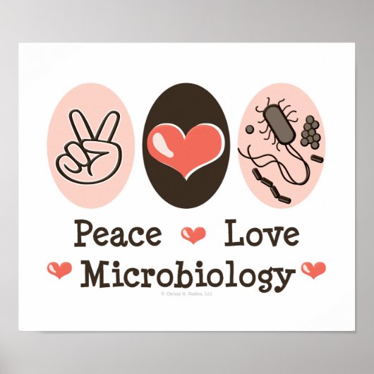 Peace Love Microbiology Poster (Voorkant)