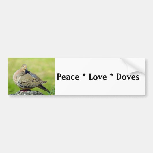 Peace Loves Doves Oiseaux Sticker (Devant)
