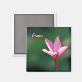 Peace Magnet Magneet (Voorkant / Achterkant)