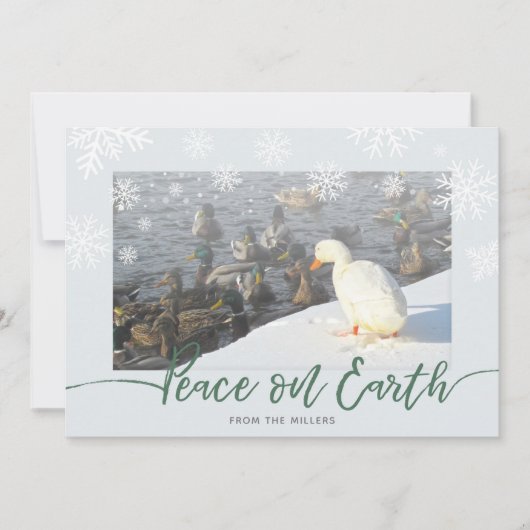 Peace on Earth Ducks Holiday Kaart (Voorkant)