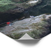 Peace On Earth Poster (Coin)