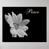 Peace Poster (Voorkant)