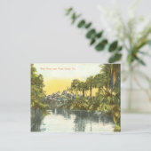 Peace River  scène, Punta Gorda Florida Briefkaart (Staand voorkant)