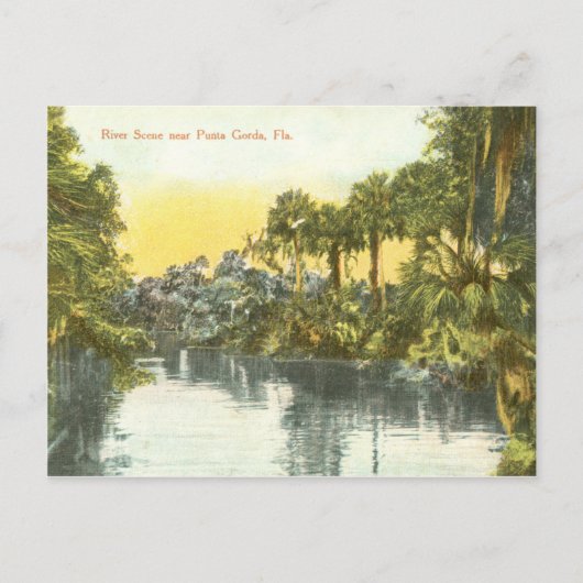 Peace River  scène, Punta Gorda Florida Briefkaart (Voorkant)