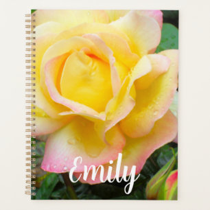Peace Roos Foto Planner