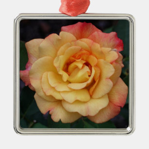 Peace-Roos: prachtige roze en gele bloemen Metalen Ornament