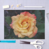 Peace-Roos: prachtige roze en gele bloemen Tissuepapier (Craft)