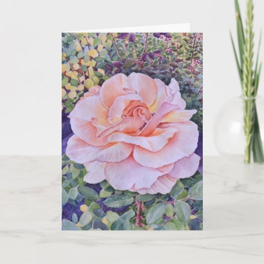 Peace Rose Kaart (Voorkant)
