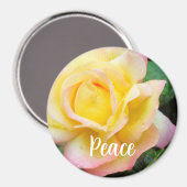 Peace Rose Photo Magneet (Voorkant / Achterkant)