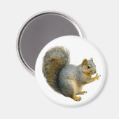 Peace Squirrel Magneet (Voorkant / Achterkant)