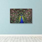 Peacecock Canvas Afdruk (Insitu (Houten vloer))