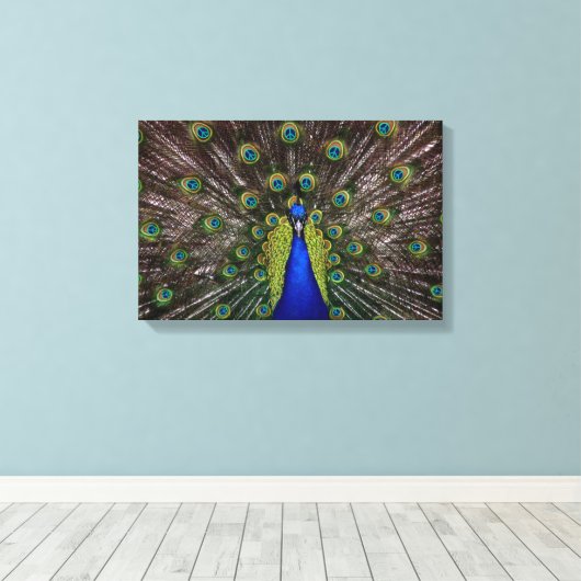 Peacecock Canvas Afdruk (Insitu (Houten vloer))