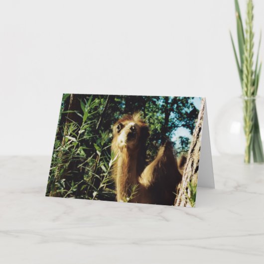 Peaceful Baba Kaart (Voorkant)