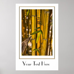Peaceful Bamboo Oerwoud Poster