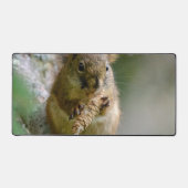 Peaceful Brown Squirrel in the Wild (Recto)