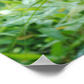 Peaceful Buddha Statue in a Leafy Green Forest Poster (Hoek)