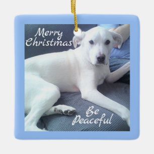 Peaceful Cute White Dog Sitting with Dad Blue Keramisch Ornament