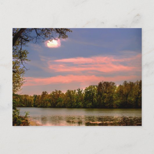 Peaceful Elegance Briefkaart (Voorkant)