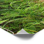 Peaceful Forest Trail Poster (Hoek)