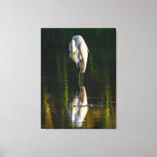 Peaceful Great White Egret with Reflection Canvas Afdruk