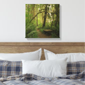 Peaceful Green Forest Trail in Washington Canvas Afdruk (Insitu (Slaapkamer))