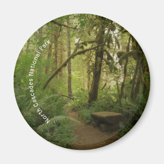 Peaceful Green Forest Trail in Washington Magneet