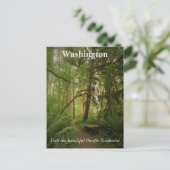 Peaceful Green Forest Trail Washington Briefkaart (Staand voorkant)