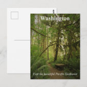 Peaceful Green Forest Trail Washington Briefkaart (Voorkant / Achterkant)