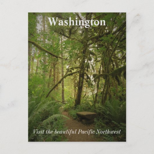 Peaceful Green Forest Trail Washington Briefkaart (Voorkant)