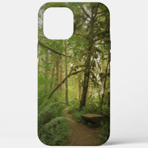 Peaceful Green Forest Trail Washington iPhone 12 Pro Max Hoesje