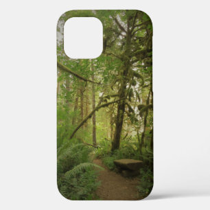 Peaceful Green Forest Trail Washington iPhone 12 Pro Hoesje